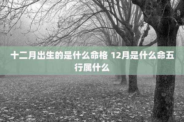 十二月出生的是什么命格 12月是什么命五行属什么