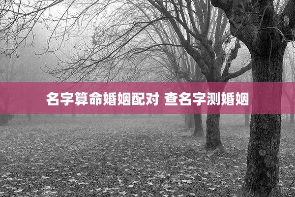 名字算命婚姻配对 查名字测婚姻