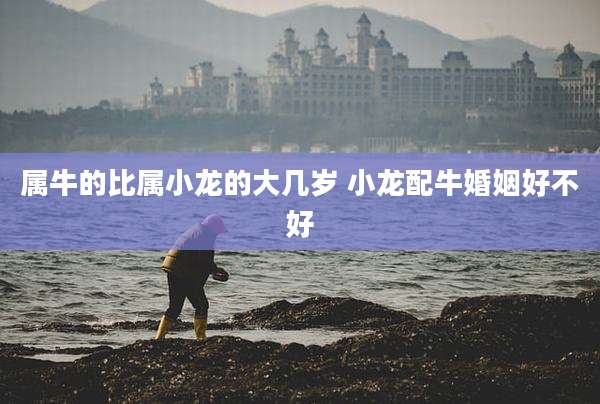 属牛的比属小龙的大几岁 小龙配牛婚姻好不好