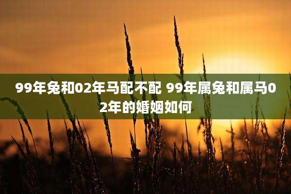 99年兔和02年马配不配 99年属兔和属马02年的婚姻如何
