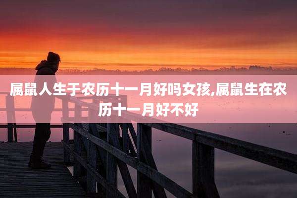 属鼠人生于农历十一月好吗女孩,属鼠生在农历十一月好不好