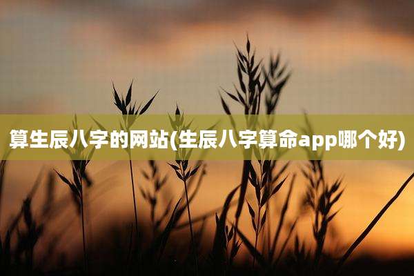 算生辰八字的网站(生辰八字算命app哪个好)