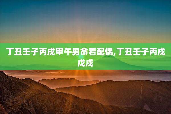 丁丑壬子丙戌甲午男命看配偶,丁丑壬子丙戌戊戌
