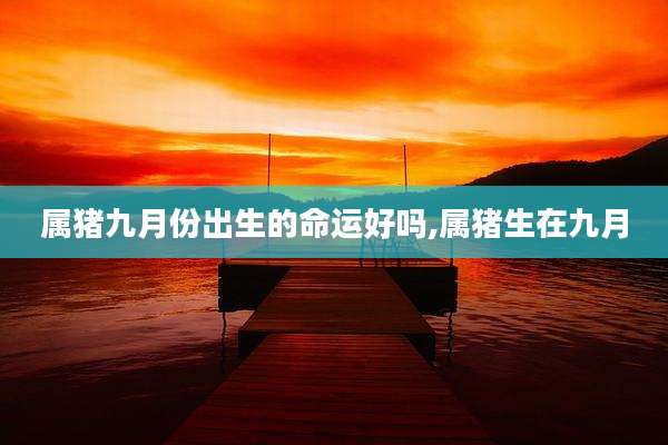 属猪九月份出生的命运好吗,属猪生在九月