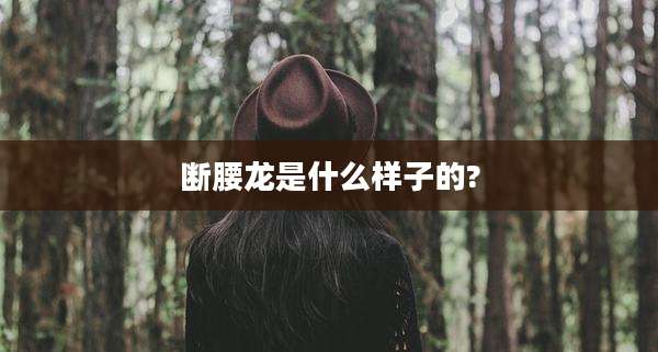 断腰龙是什么样子的?