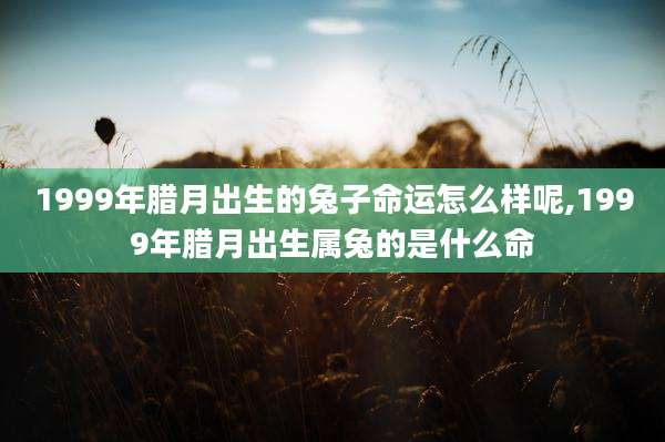 1999年腊月出生的兔子命运怎么样呢,1999年腊月出生属兔的是什么命