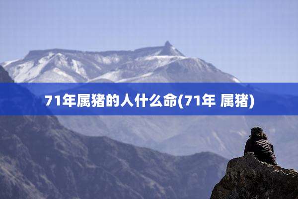 71年属猪的人什么命(71年 属猪)