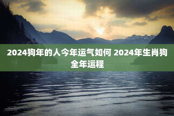 2024狗年的人今年运气如何 2024年生肖狗全年运程