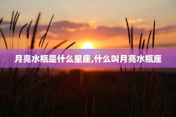 月亮水瓶是什么星座,什么叫月亮水瓶座