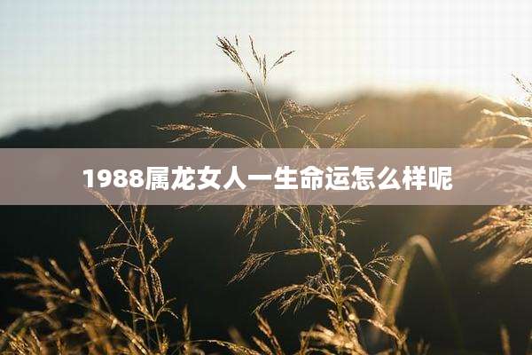 1988属龙女人一生命运怎么样呢
