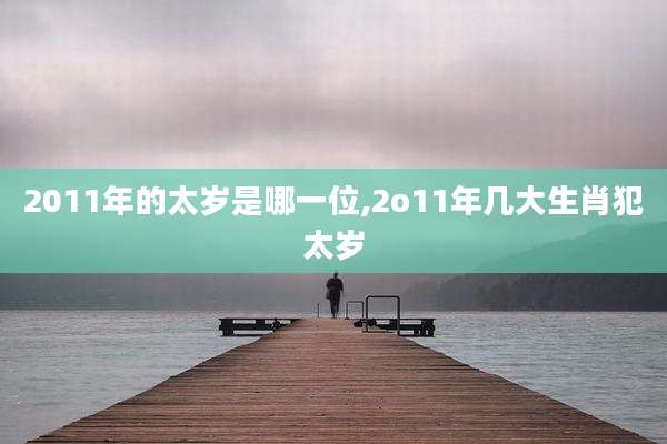 2011年的太岁是哪一位,2o11年几大生肖犯太岁