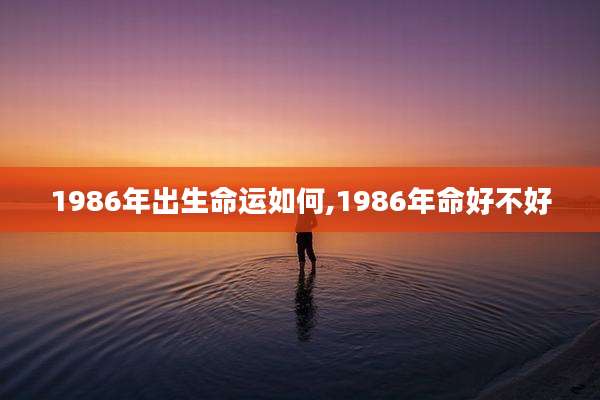 1986年出生命运如何,1986年命好不好