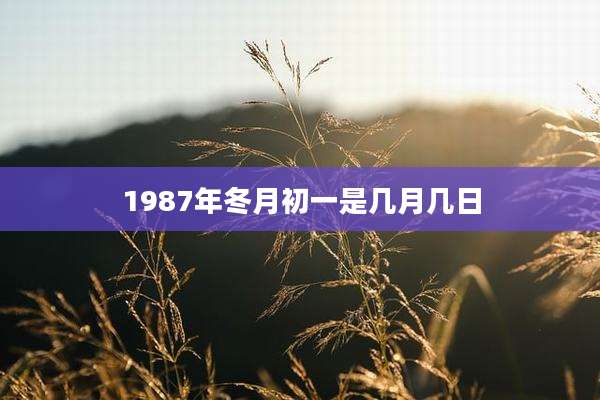 1987年冬月初一是几月几日