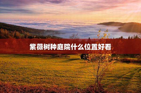紫薇树种庭院什么位置好看