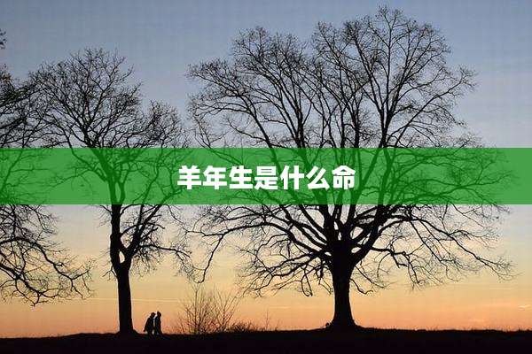 羊年生是什么命