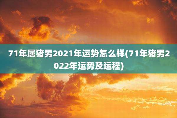 71年属猪男2021年运势怎么样(71年猪男2022年运势及运程)
