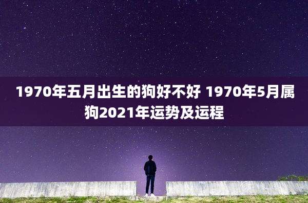 1970年五月出生的狗好不好 1970年5月属狗2021年运势及运程