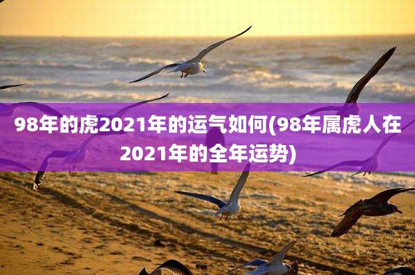 98年的虎2021年的运气如何(98年属虎人在2021年的全年运势)