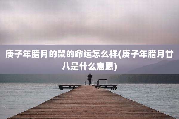 庚子年腊月的鼠的命运怎么样(庚子年腊月廿八是什么意思)
