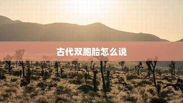 古代双胞胎怎么说