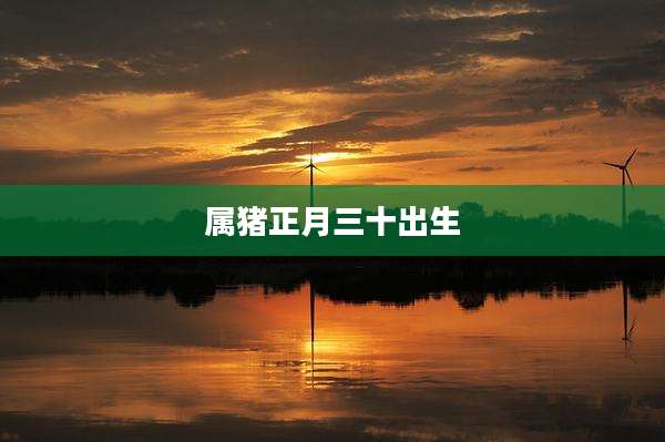 属猪正月三十出生