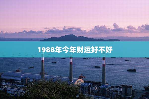 1988年今年财运好不好