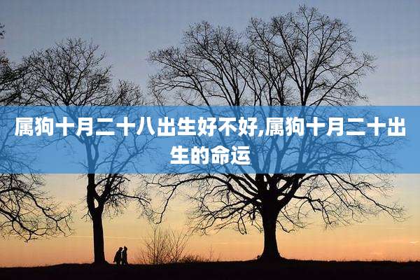 属狗十月二十八出生好不好,属狗十月二十出生的命运
