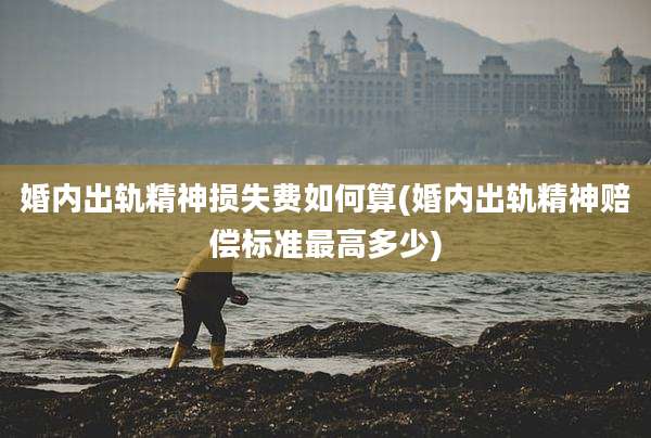 婚内出轨精神损失费如何算(婚内出轨精神赔偿标准最高多少)