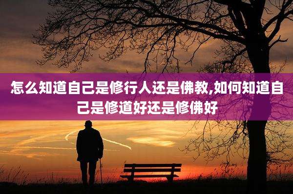 怎么知道自己是修行人还是佛教,如何知道自己是修道好还是修佛好