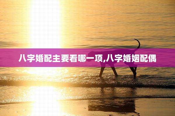 八字婚配主要看哪一项,八字婚姻配偶