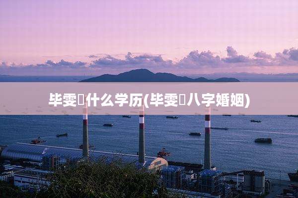 毕雯珺什么学历(毕雯珺八字婚姻)