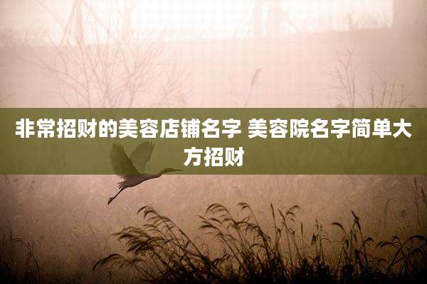 非常招财的美容店铺名字 美容院名字简单大方招财