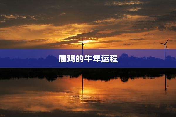 属鸡的牛年运程