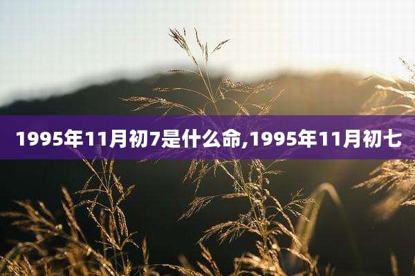 1995年11月初7是什么命,1995年11月初七