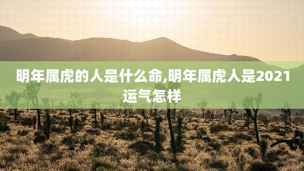 明年属虎的人是什么命,明年属虎人是2021运气怎样