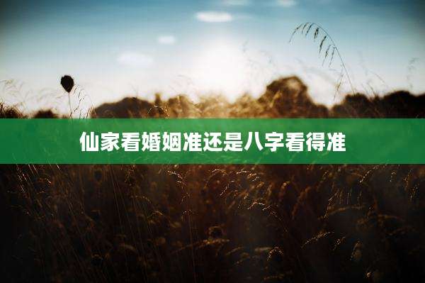 仙家看婚姻准还是八字看得准