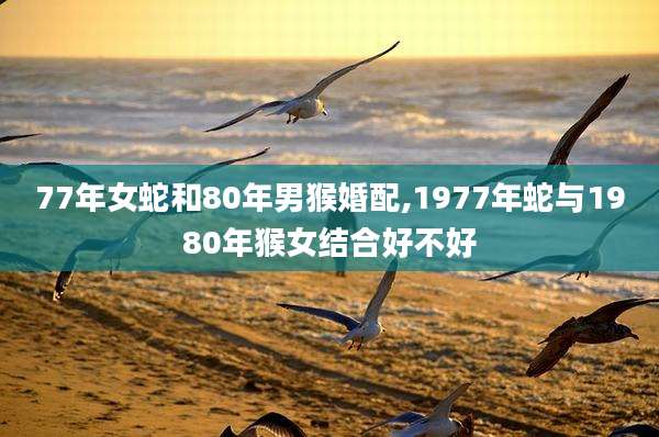 77年女蛇和80年男猴婚配,1977年蛇与1980年猴女结合好不好