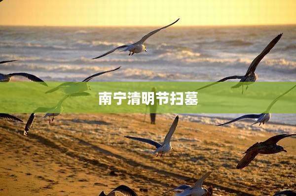 南宁清明节扫墓