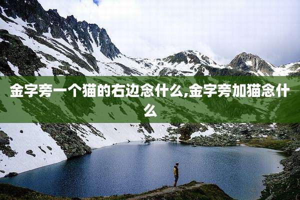 金字旁一个猫的右边念什么,金字旁加猫念什么