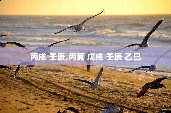 丙戌 壬辰,丙寅 戊戌 壬辰 乙巳