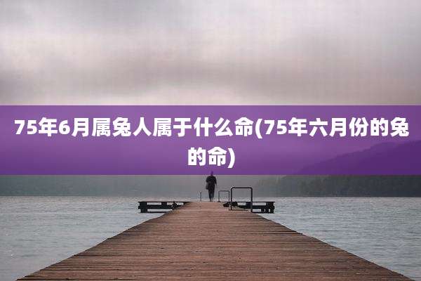 75年6月属兔人属于什么命(75年六月份的兔的命)