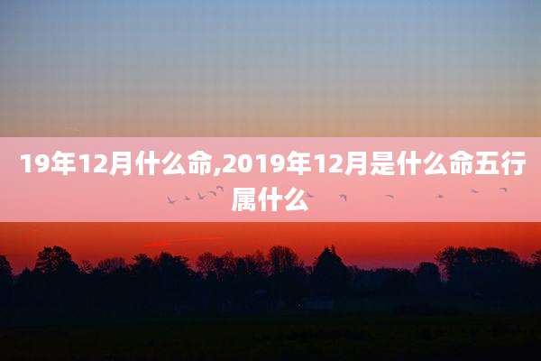 19年12月什么命,2019年12月是什么命五行属什么