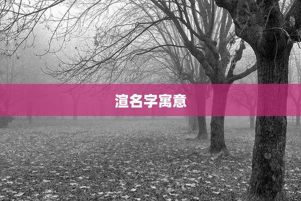 渲名字寓意