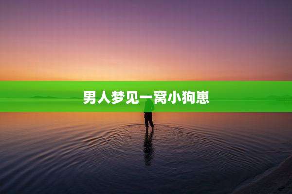 男人梦见一窝小狗崽