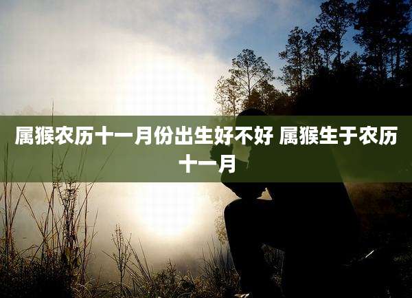 属猴农历十一月份出生好不好 属猴生于农历十一月