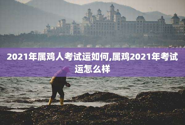 2021年属鸡人考试运如何,属鸡2021年考试运怎么样