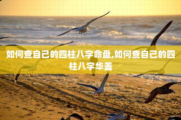 如何查自己的四柱八字命盘,如何查自己的四柱八字华盖