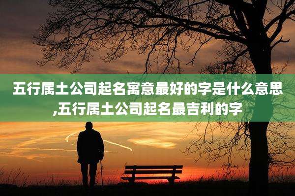 五行属土公司起名寓意最好的字是什么意思,五行属土公司起名最吉利的字