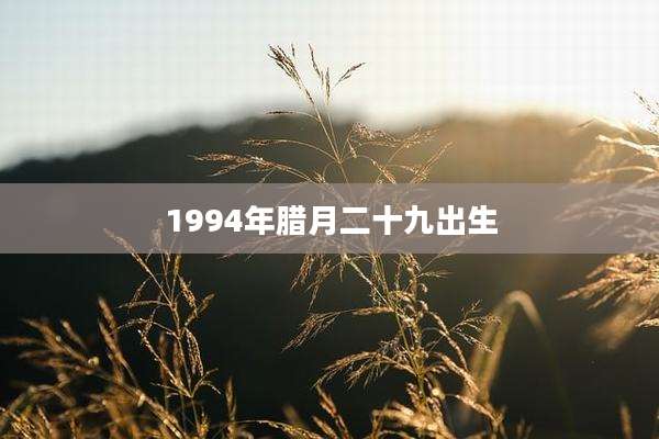 1994年腊月二十九出生