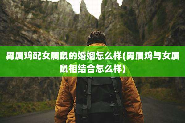 男属鸡配女属鼠的婚姻怎么样(男属鸡与女属鼠相结合怎么样)